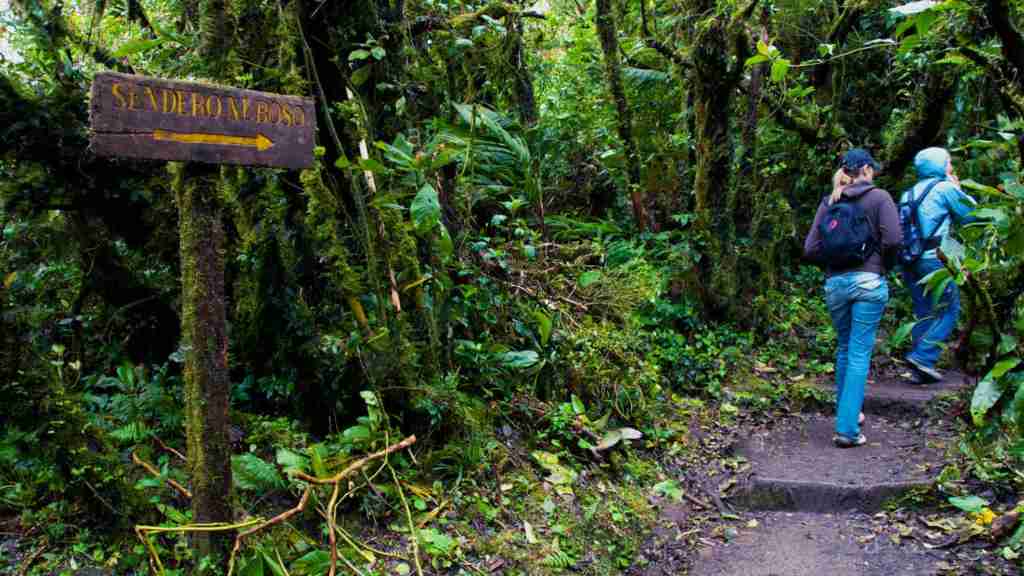 viaje organizado costa rica bosque nuboso monteverde